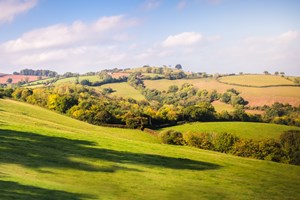 Mid Devon Commits to Climate Change Target
