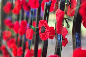 Observance of Armistice Day with the Royal British Legion 2019