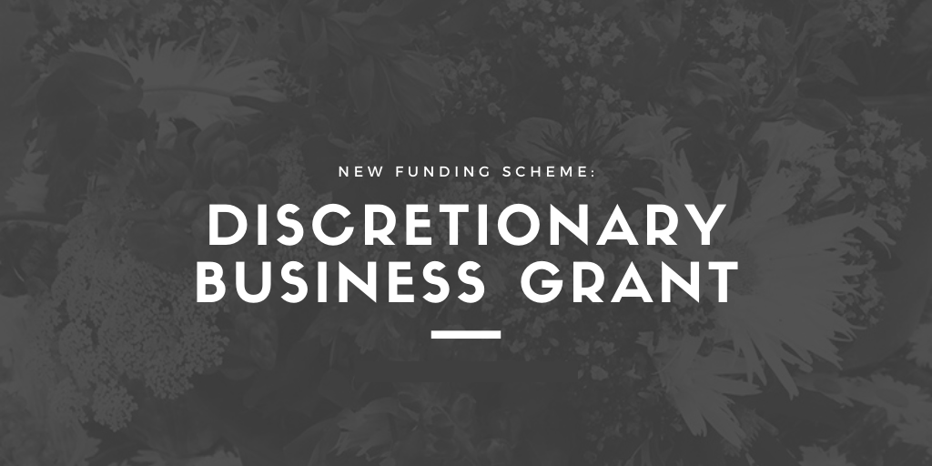 Devon councils launch new Discretionary Grant Fund to support businesses not eligible for the COVID-19 grant schemes