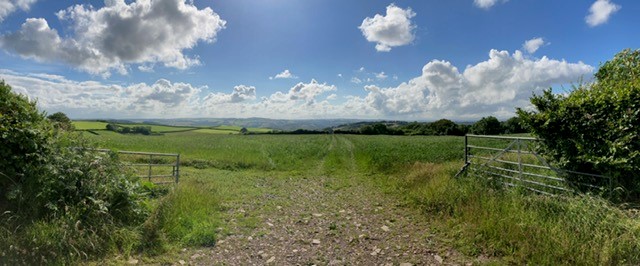 Council Pledges Support for Emergency Climate Bill