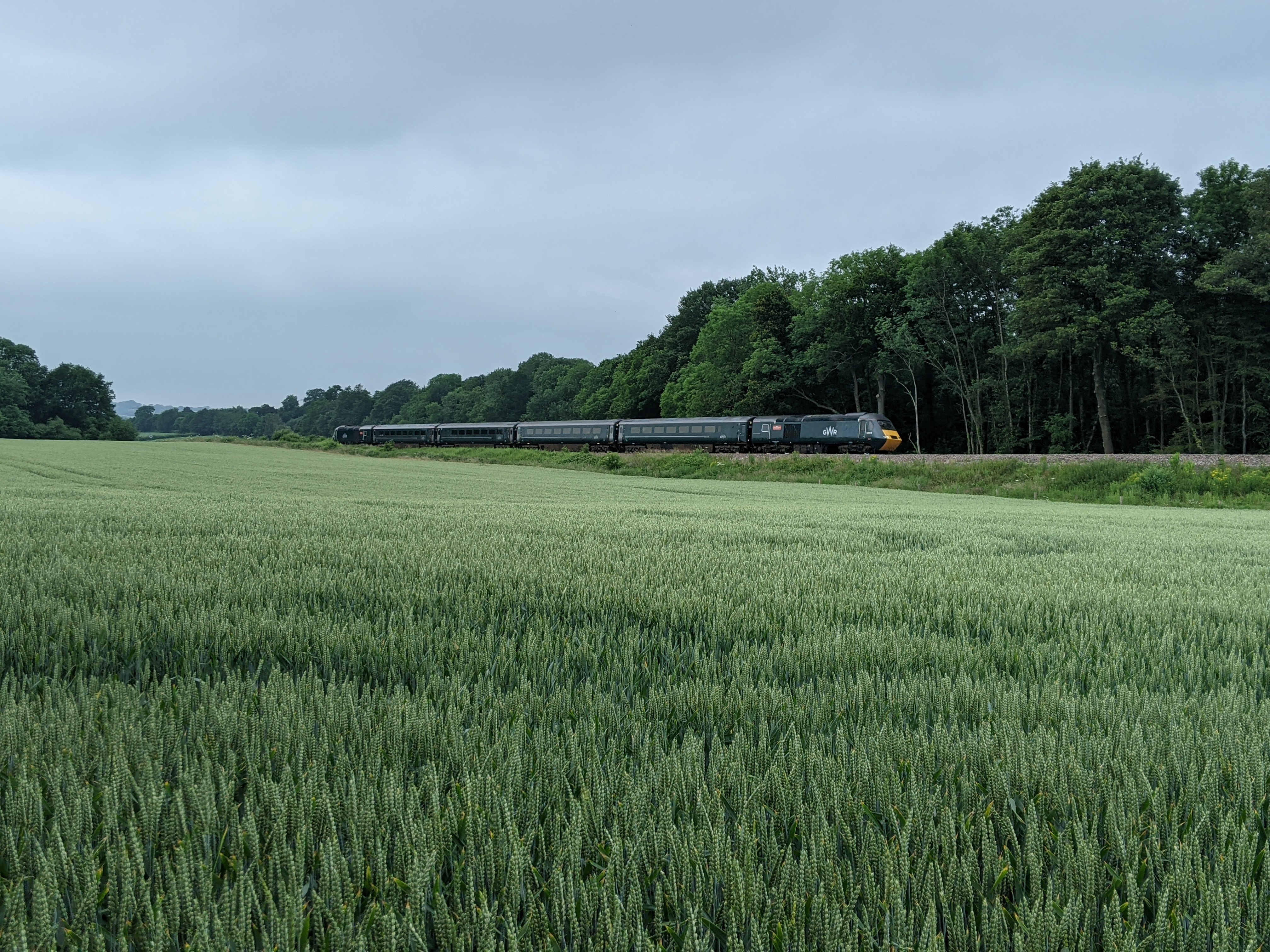 train travelling in countryside