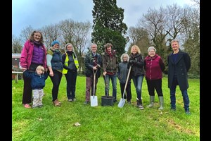 Volunteers invited to join community tree planting event in Tiverton