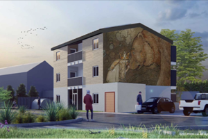 Plans for zero-carbon modular homes in Cullompton approved