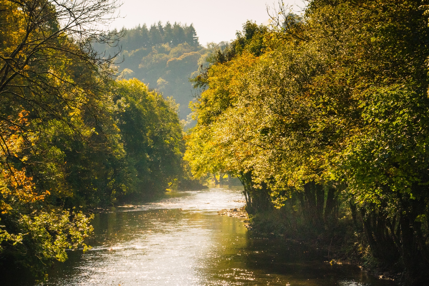 River Batherm Bampton