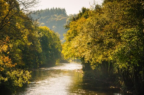 River Batherm Bampton Devon