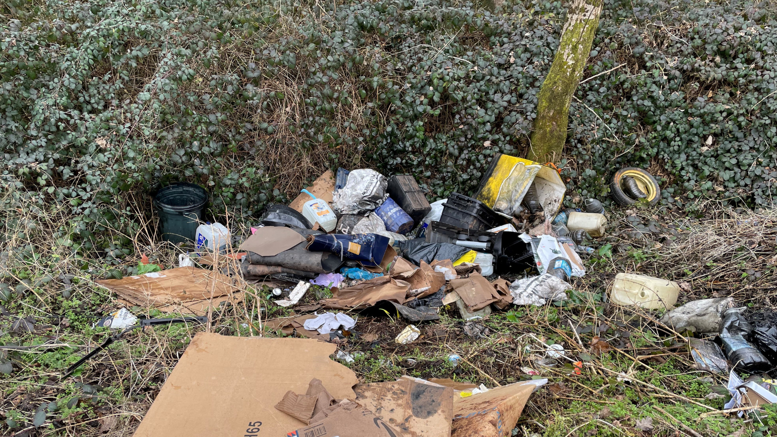 Successful Enforcement of Illegal Fly-tip in Mid Devon