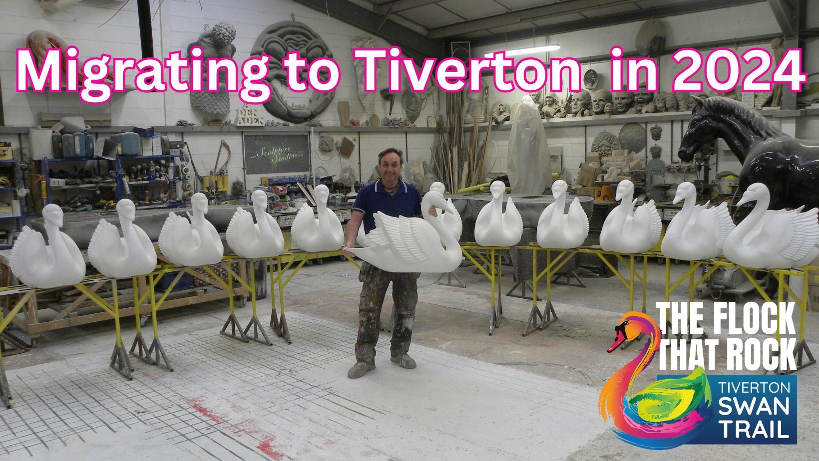 Migrating to Tiverton, The Flock That Rock - Tiverton Swan Trail