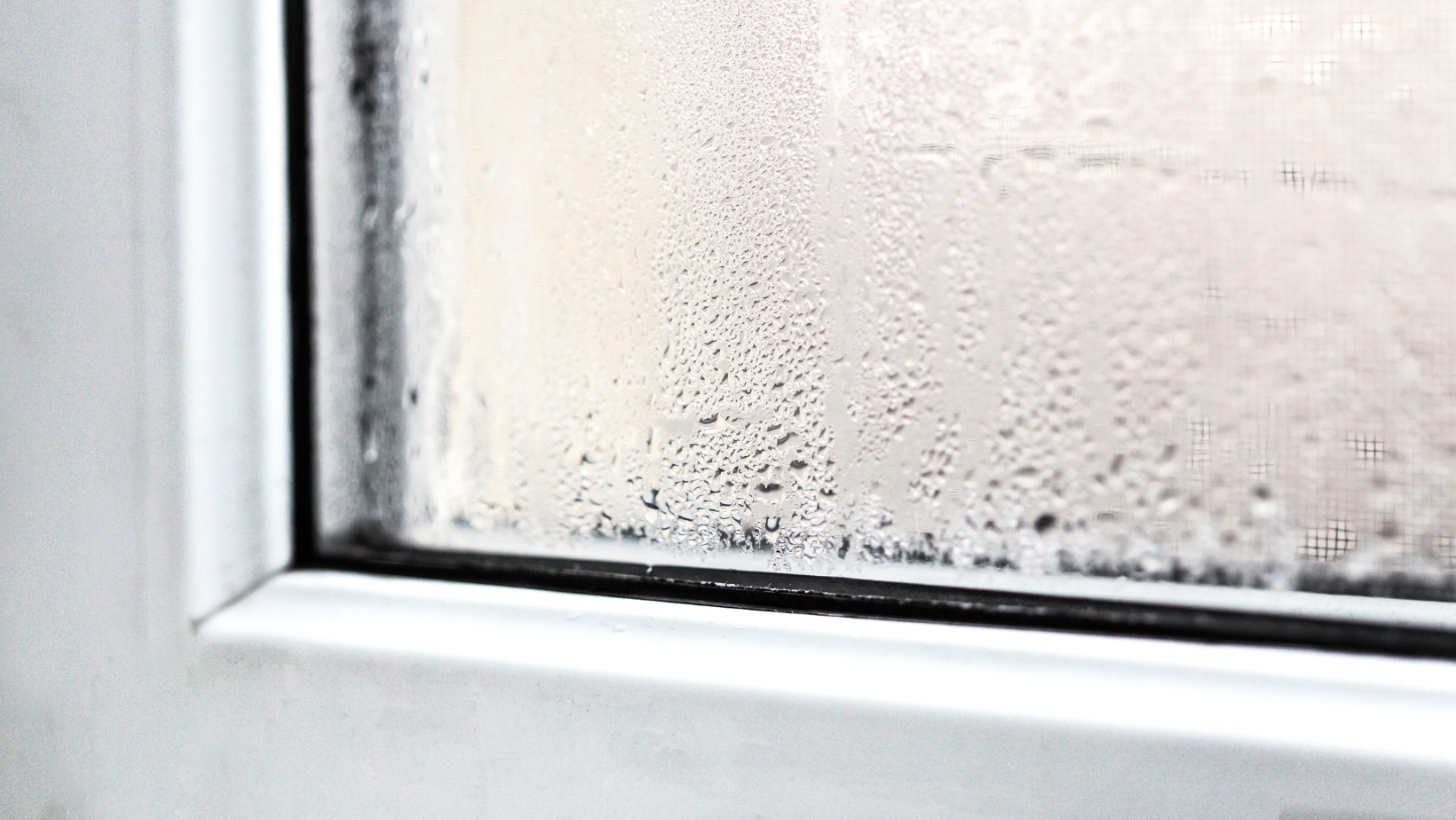 Damp & Mould Tips for Mid Devon