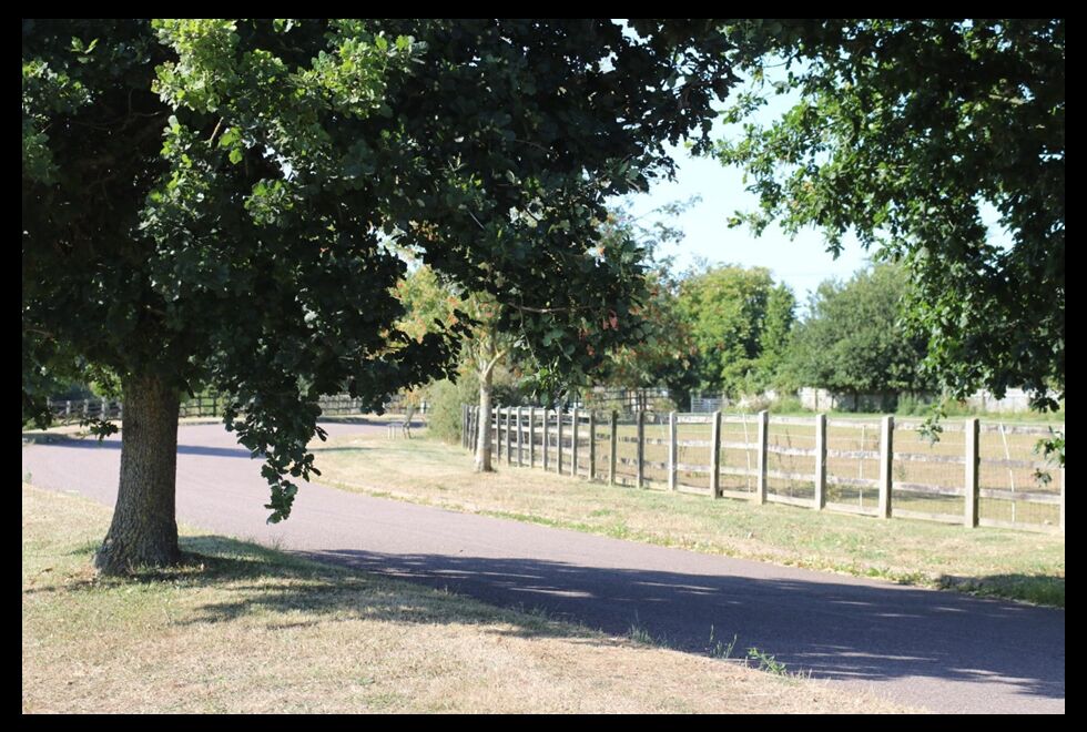 Willand parish set to decide future with neighbourhood plan referendum