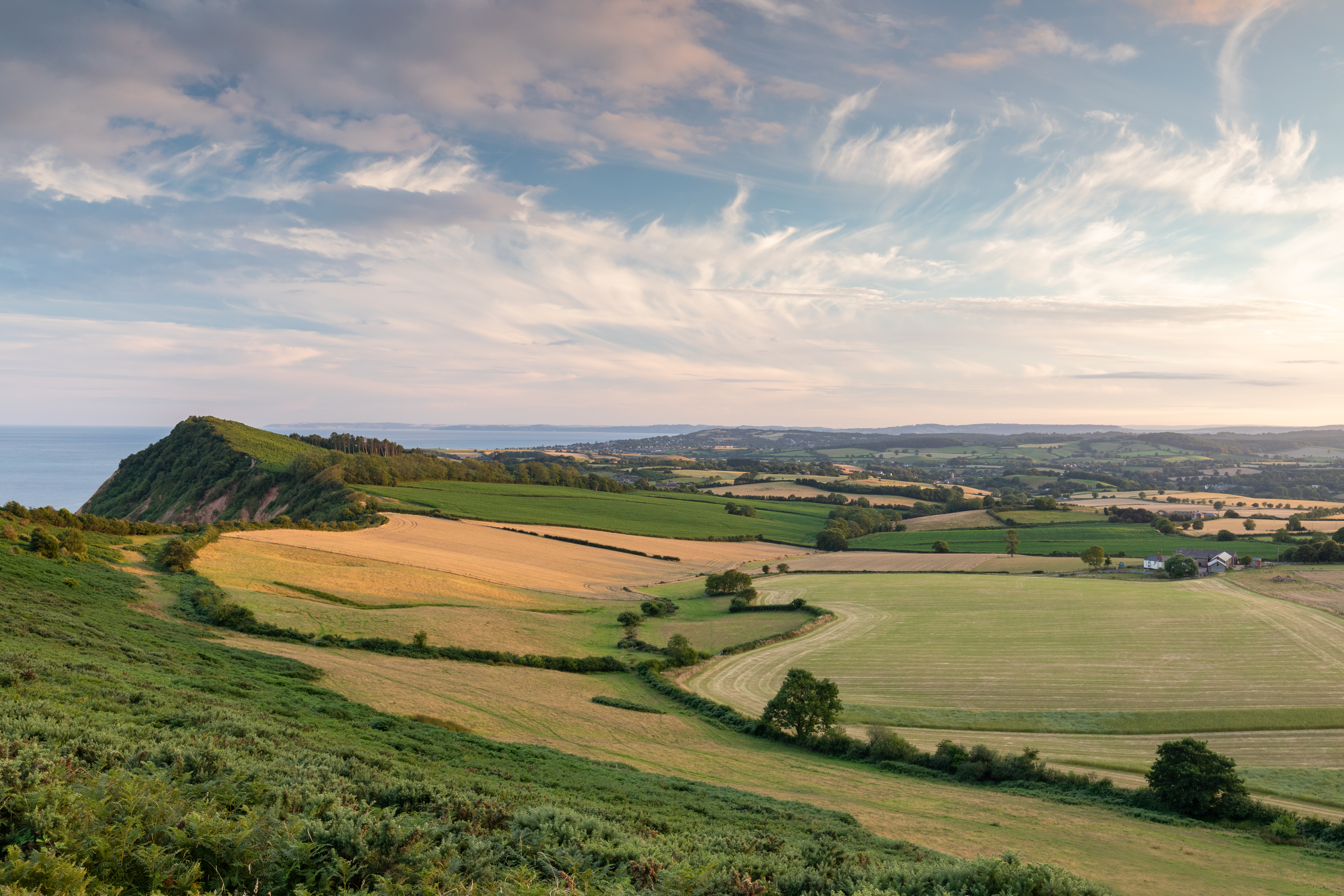 A view of the Devon coastline with cliff edge and sea and green fields 
