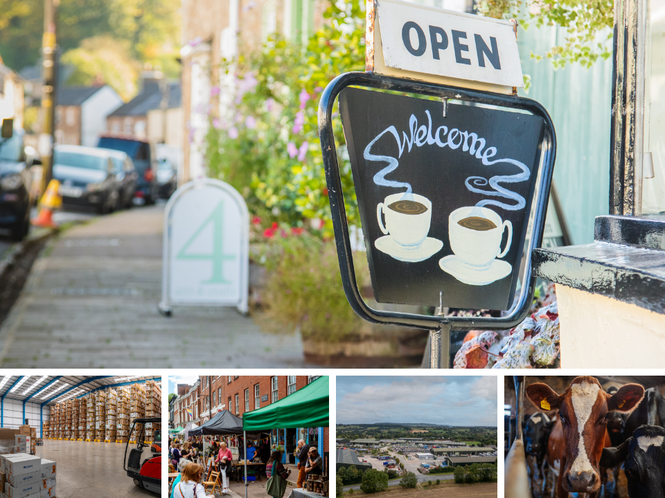 Survey Open for Mid Devon Businesses