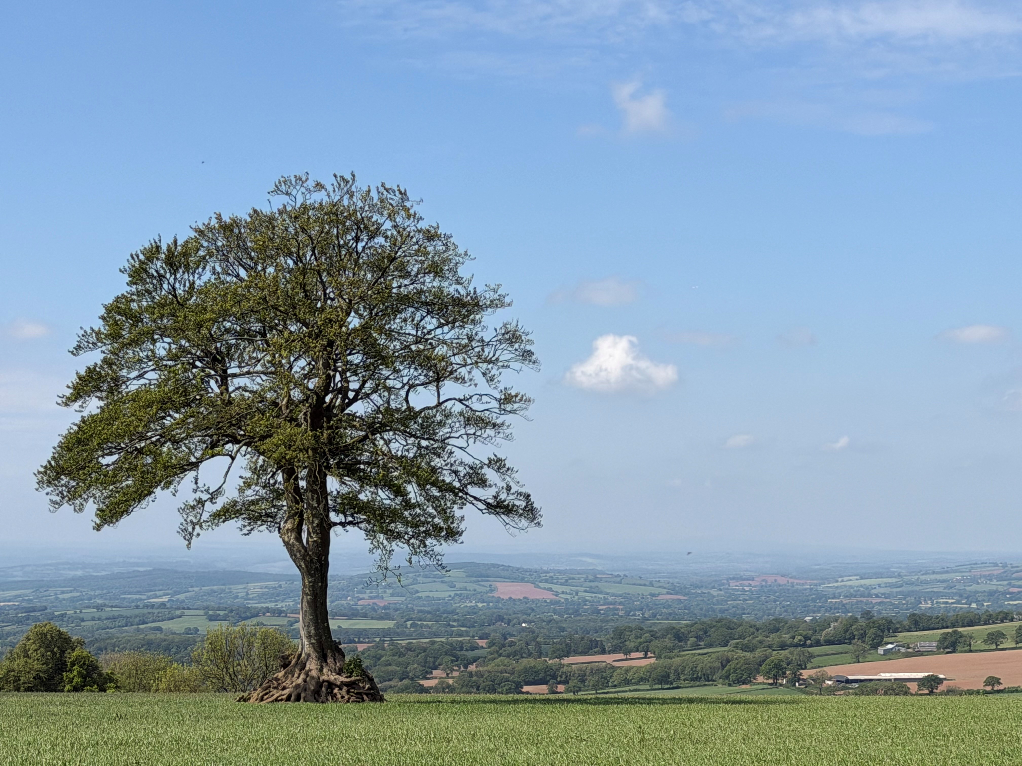 New Strategic Sustainability Grants to support community climate and nature action